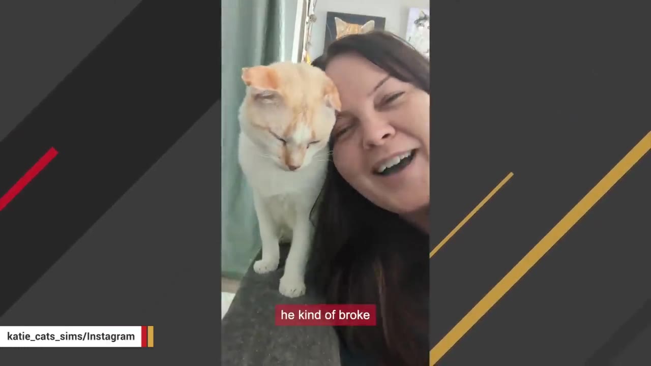 A smiling woman with dark hair leans her head close to a white and light orange cat standing next to her.