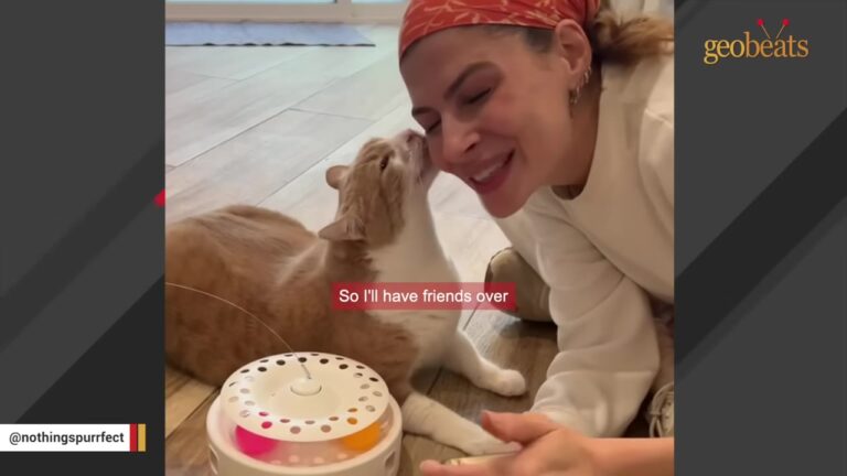 Cat Left At LA Shelter After Tragic Loss Finds A Hilarious Way To Show Her New Mom Love