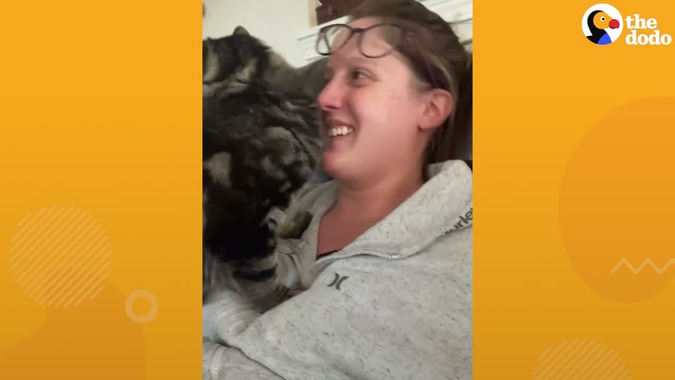 Video frame for The Vet's Heartbreaking Diagnosis