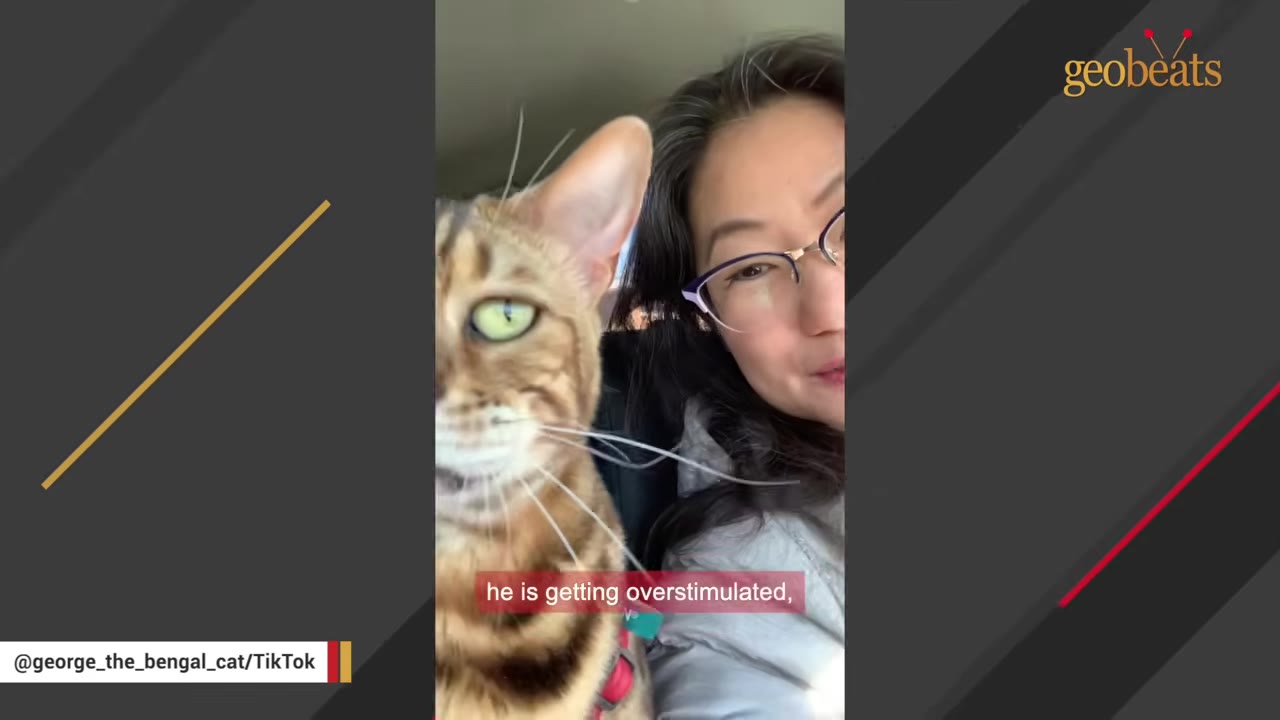 A close-up of a woman with glasses next to a Bengal cat looking directly at the camera.