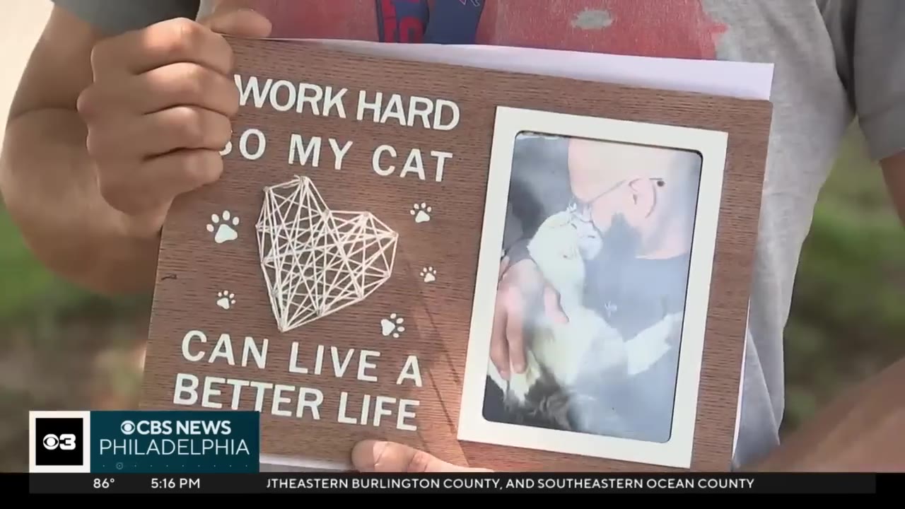 A person holding a wooden sign that reads 'WORK HARD SO MY CAT CAN LIVE A BETTER LIFE' with a photo of a man holding a cat.