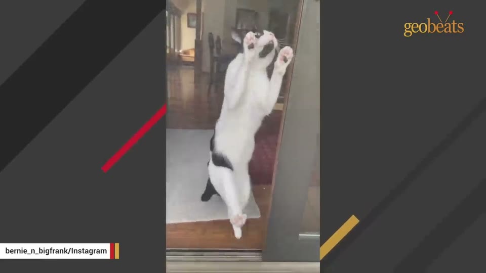 Video frame for Two Very Different Personalities