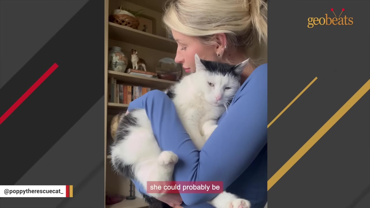 A woman with blonde hair tied back holds a large black and white cat close to her chest, cradling it in her arms.