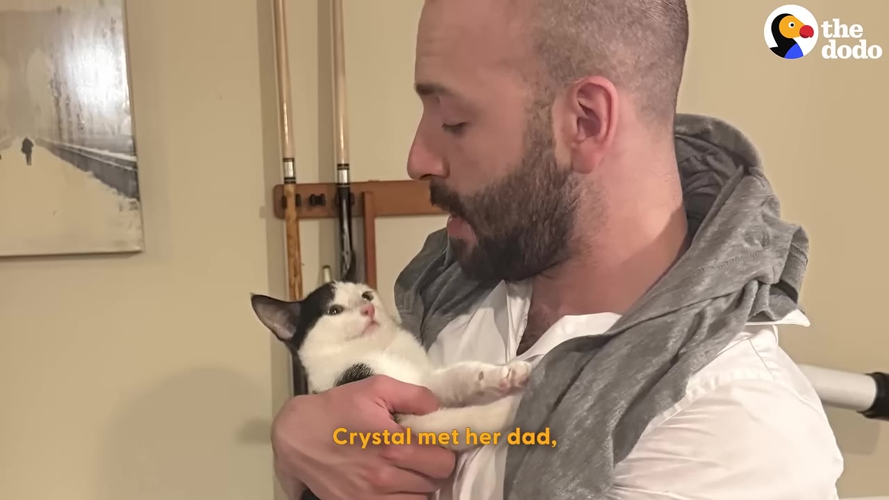 A man with a beard holding a small black and white kitten in his arms as they look at each other.