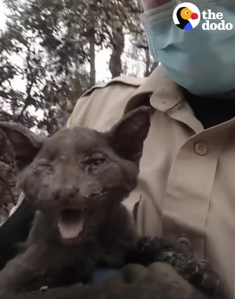A soot-covered kitten with its mouth open is held in the arms of a rescuer wearing a tan uniform and a blue face mask.