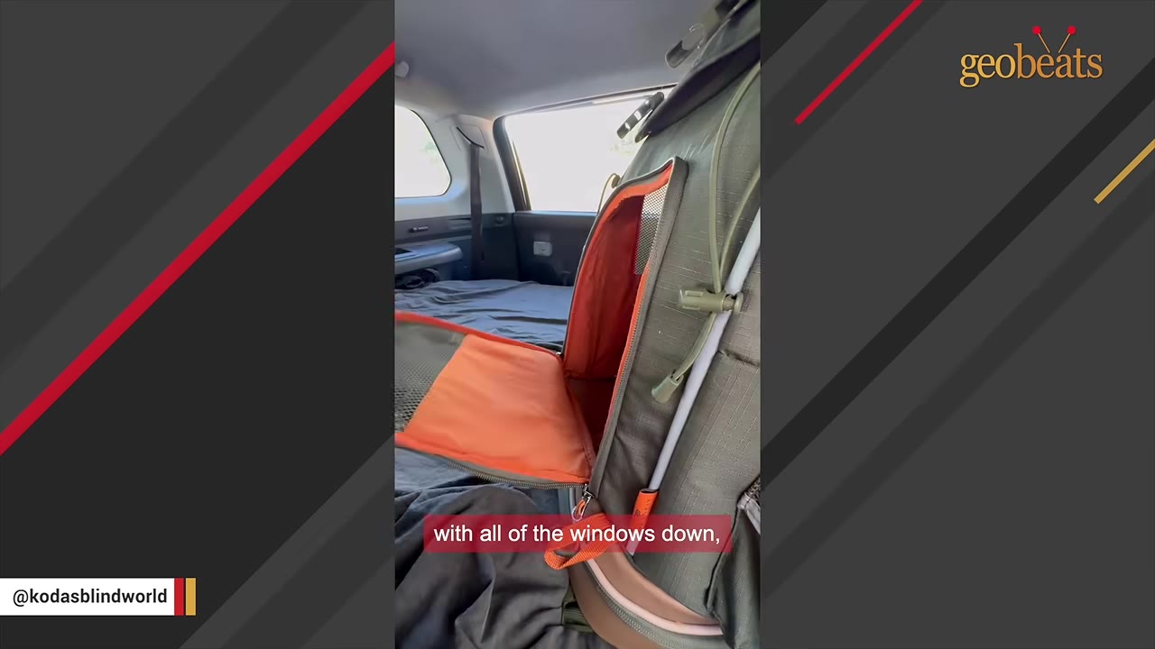 An open green and orange pet carrier backpack sits inside the back of a car with the windows visible in the background.