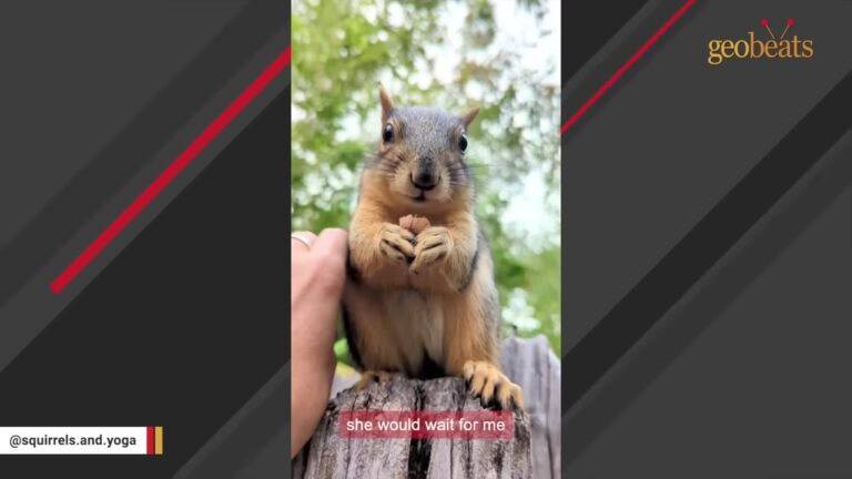 Ohio Woman Saves An Orphaned Baby Squirrel, Then She Returns With A Surprising Request