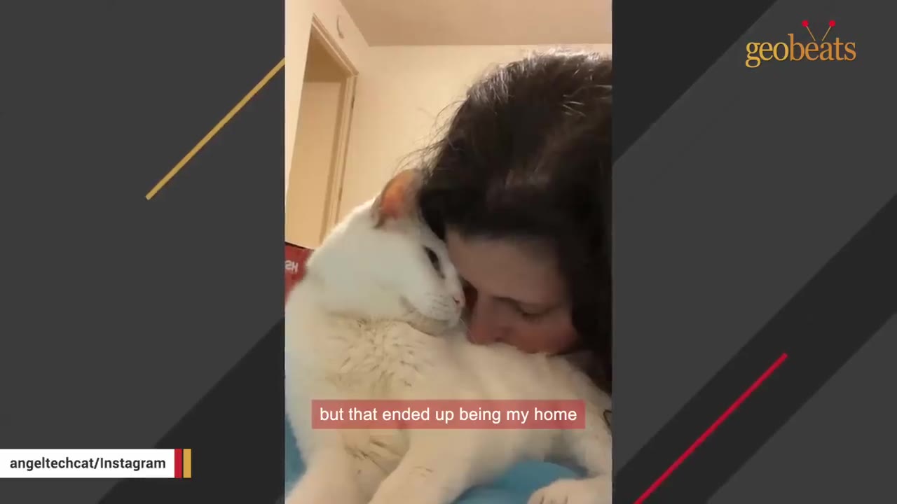 A close-up shot of a woman gently pressing her forehead against a white cat's neck as the cat rests comfortably.