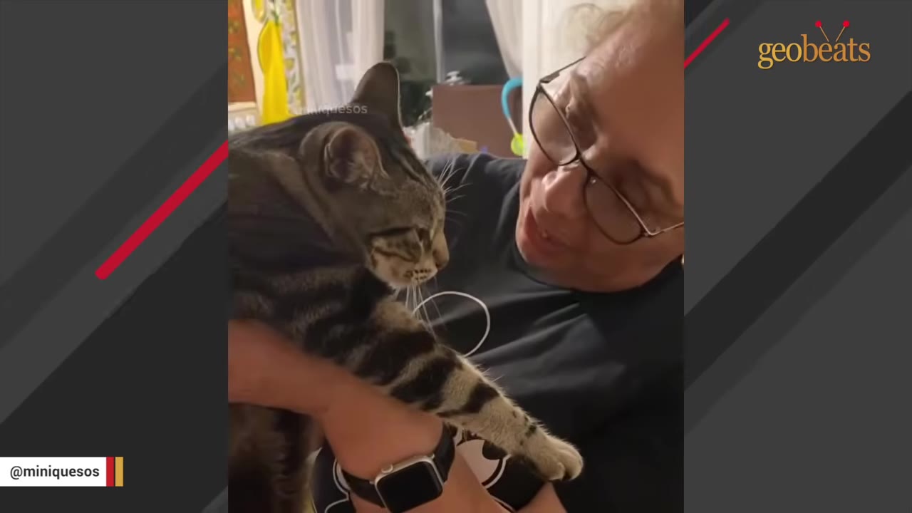 A tabby cat being held close by a woman with glasses, looking intently at her face.