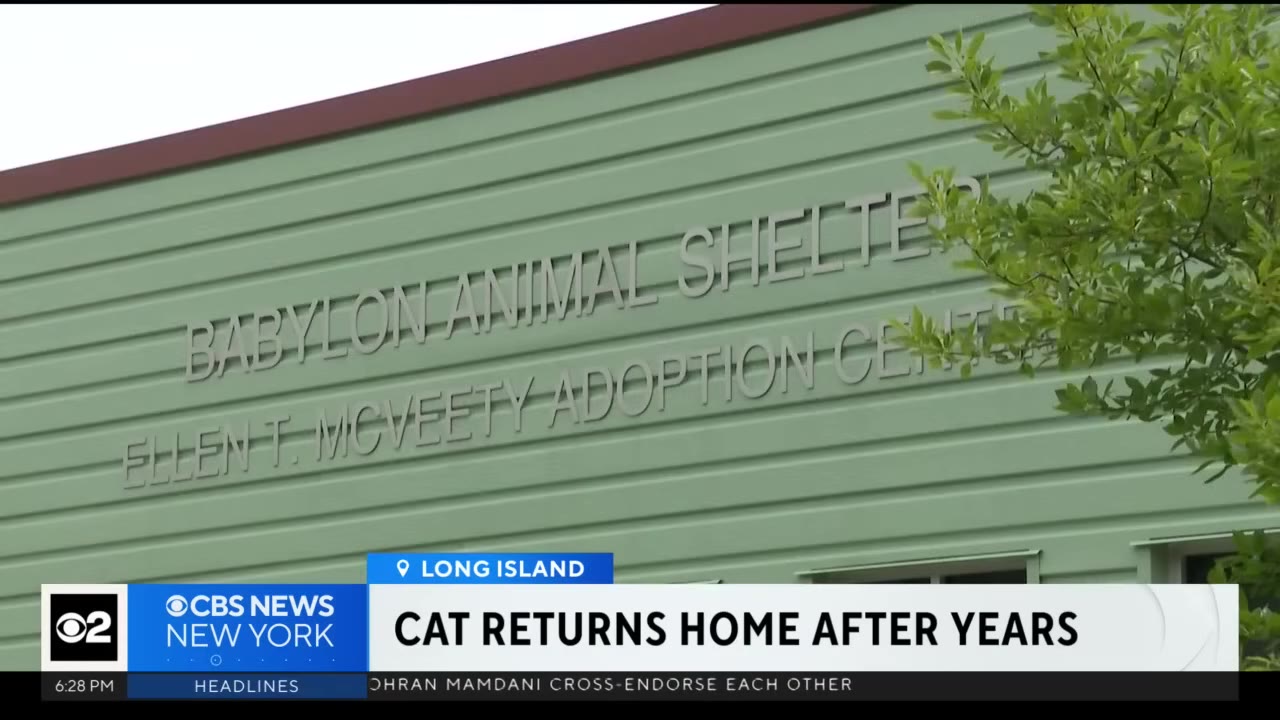 The exterior of the Babylon Animal Shelter Ellen F. McVeety Adoption Center building with green siding.
