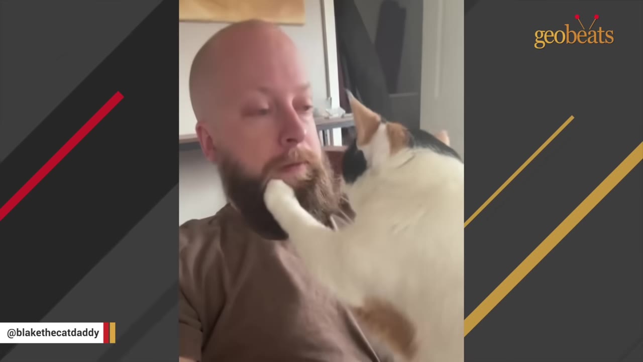 A calico cat kneads her paw against a bearded man's chin as he looks towards the camera.