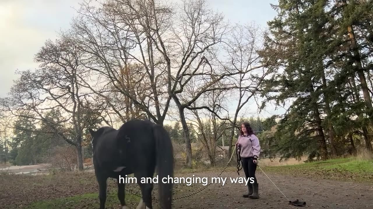 A woman in a pink sweater stands on a dirt path holding a lead rope attached to a dark horse walking away from her.
