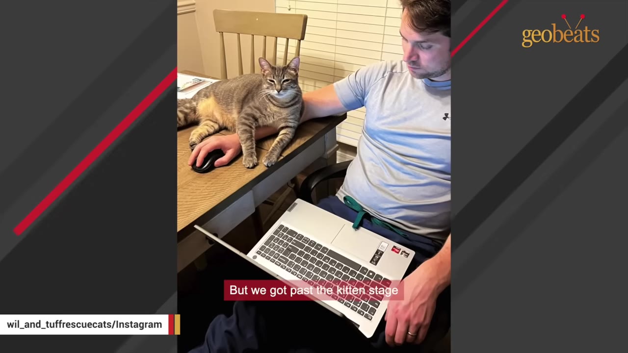 A man sitting at a desk with a laptop on his lap, while a tabby cat rests on his arm near his computer mouse.