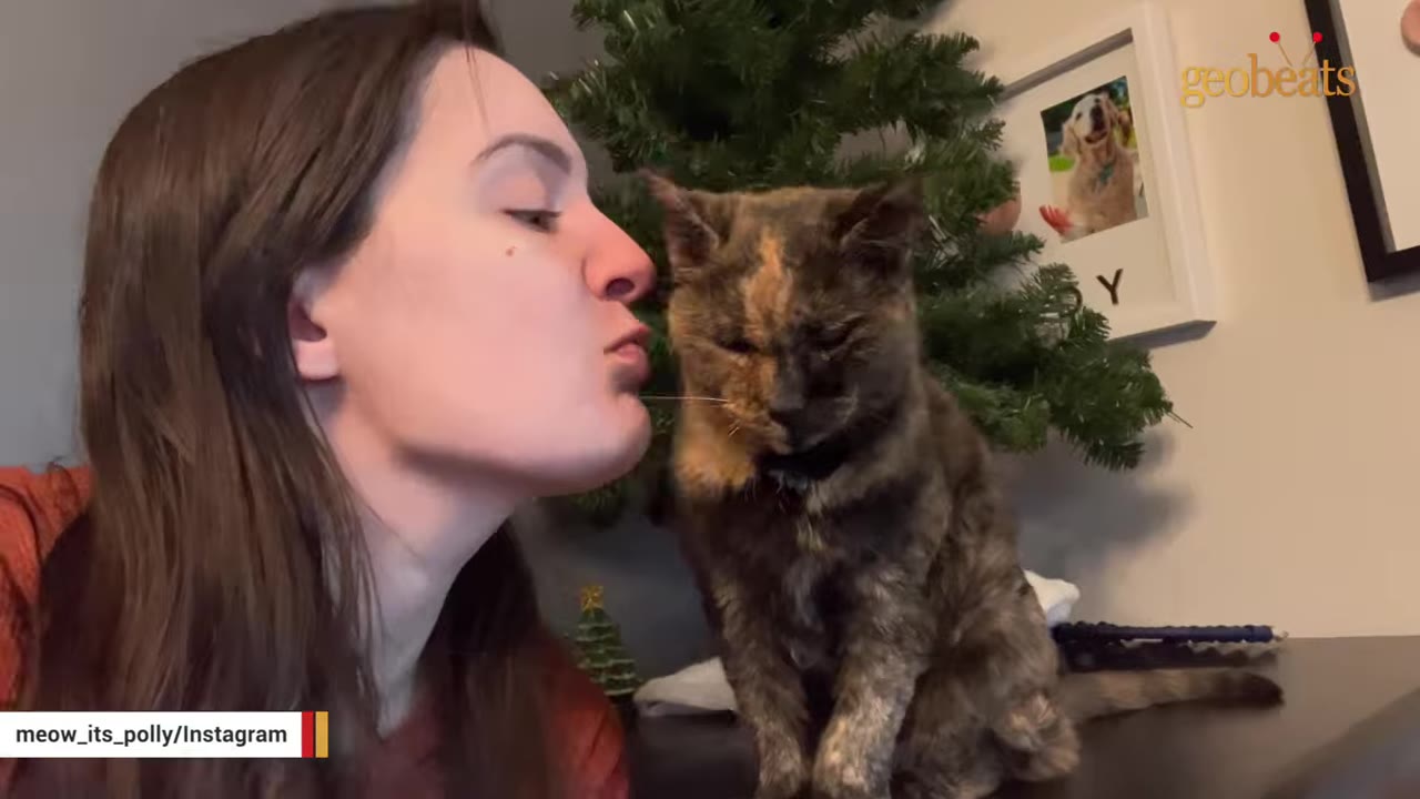 A woman with long brown hair leans in to gently blow towards a tortoiseshell cat sitting in front of a Christmas tree.
