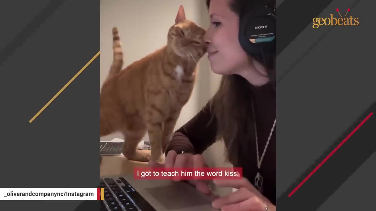 An orange tabby cat stands on a desk and gently touches its nose to the nose of a smiling woman wearing headphones.