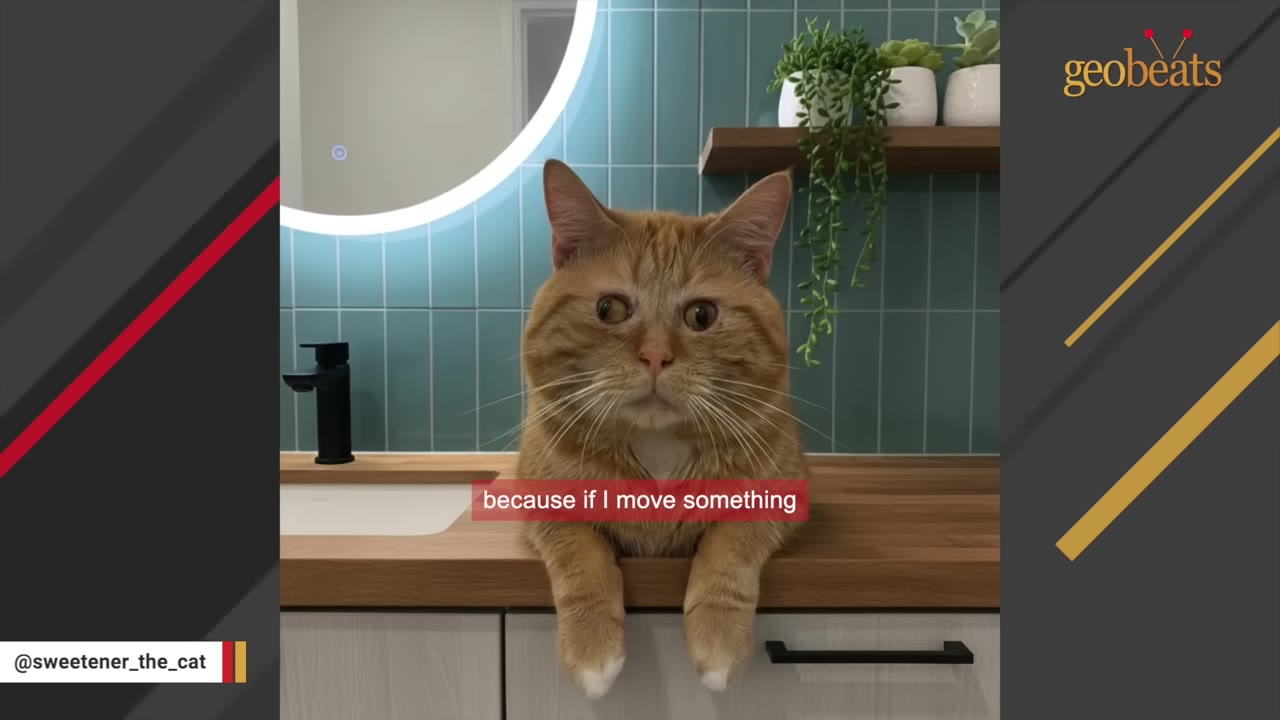 An orange tabby cat with crossed eyes sits on a wooden bathroom counter next to a sink, looking directly forward.