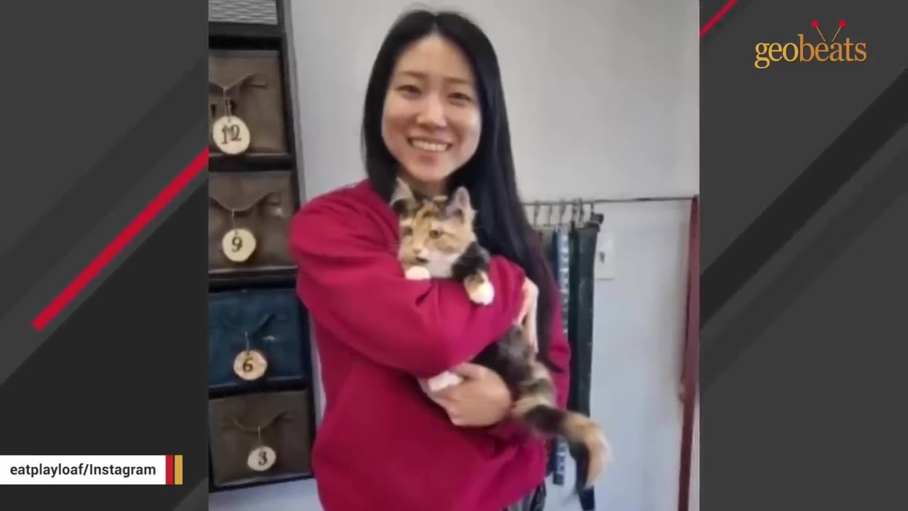 A smiling woman in a red sweatshirt holds a small calico kitten close to her chest.