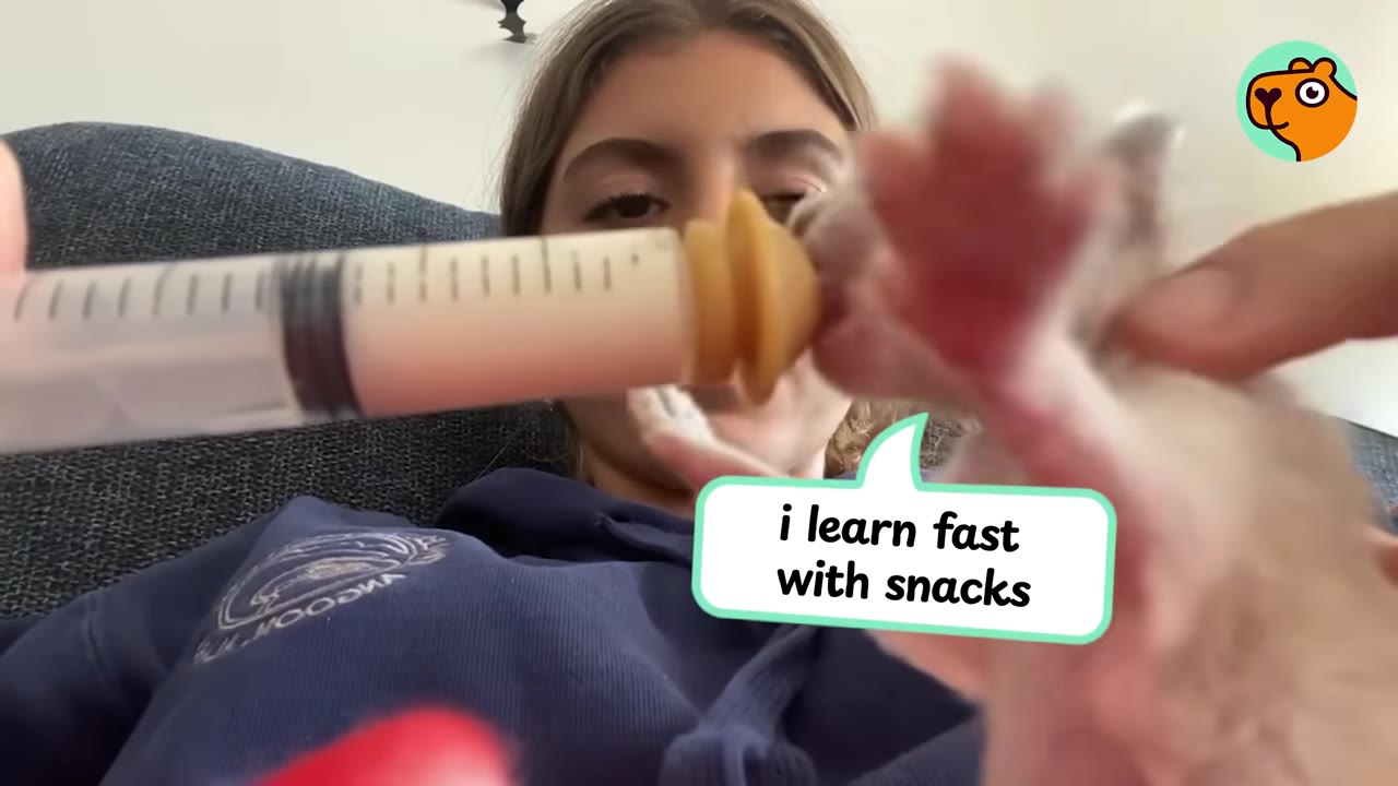 A young woman feeds a tiny kitten using a syringe with a yellow nipple attachment.