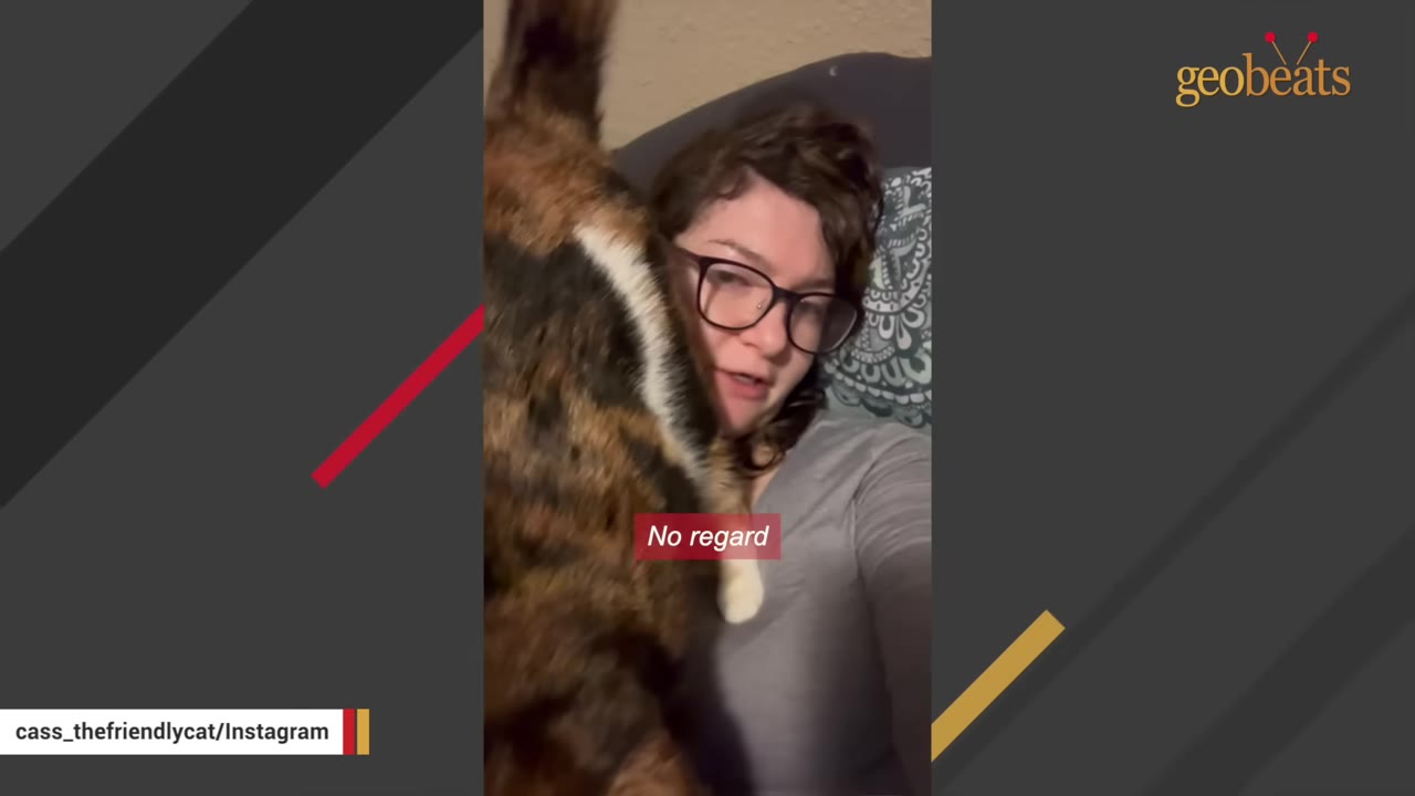 A calico cat climbs directly onto the chest and face of a woman wearing glasses, showing a lack of personal space.