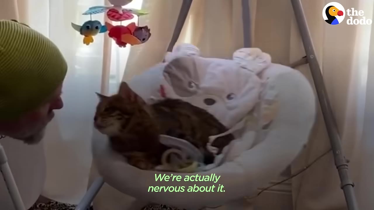 A man wearing a green beanie looks at a tabby cat sitting inside a white baby swing with a colorful mobile hanging above.