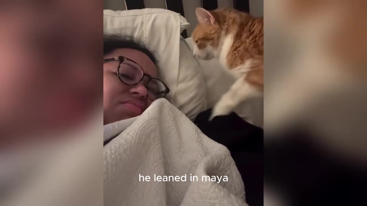 A woman wearing glasses lies in bed under a white blanket as an orange and white cat leans in close to her face.