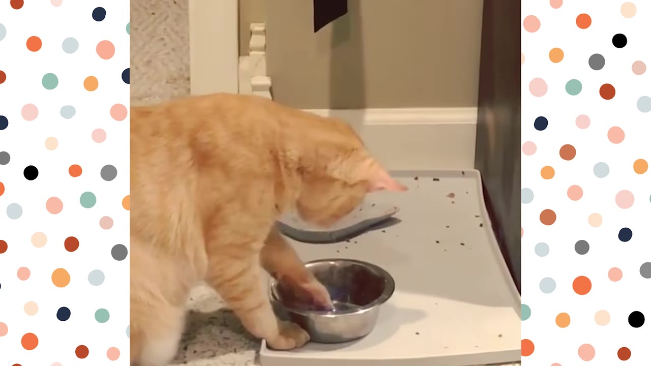 An orange cat playfully dips its paw into a metal water bowl on a gray tray.