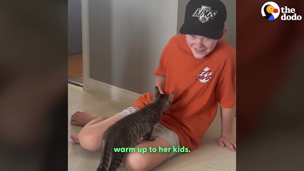 A young boy wearing an orange t-shirt and a black baseball cap sits on the floor as a small tabby kitten climbs onto his lap.