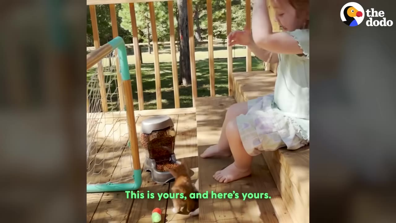 A young girl sits on wooden steps next to an automatic pet feeder, giving toys to a small orange kitten on the deck.
