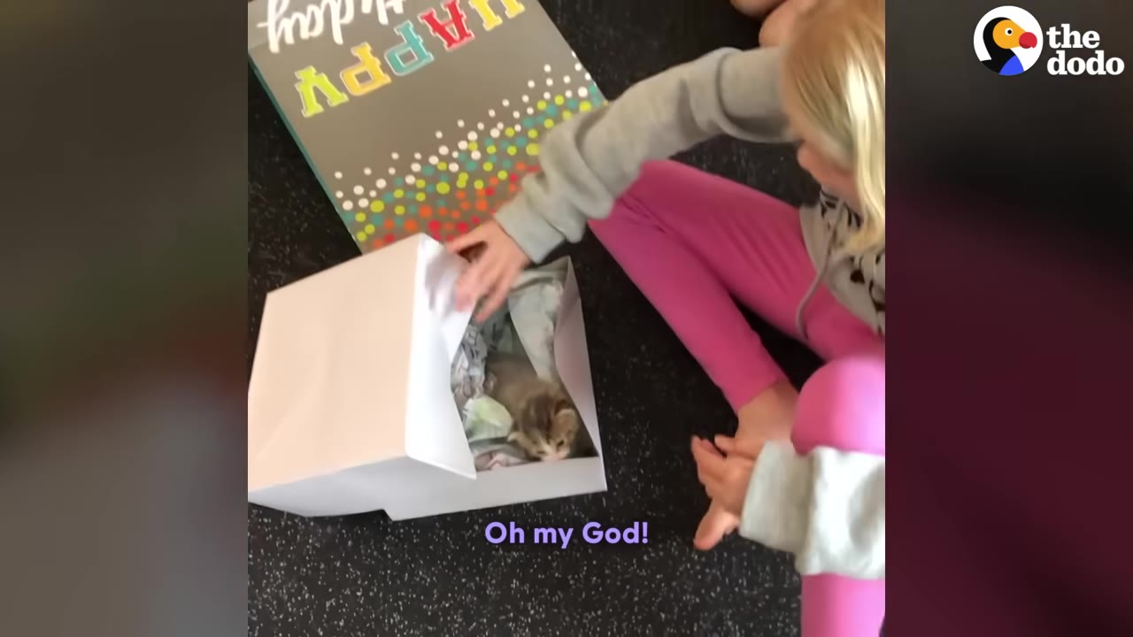 A young girl in pink pants and a grey sweatshirt opens a white gift box containing a small kitten.