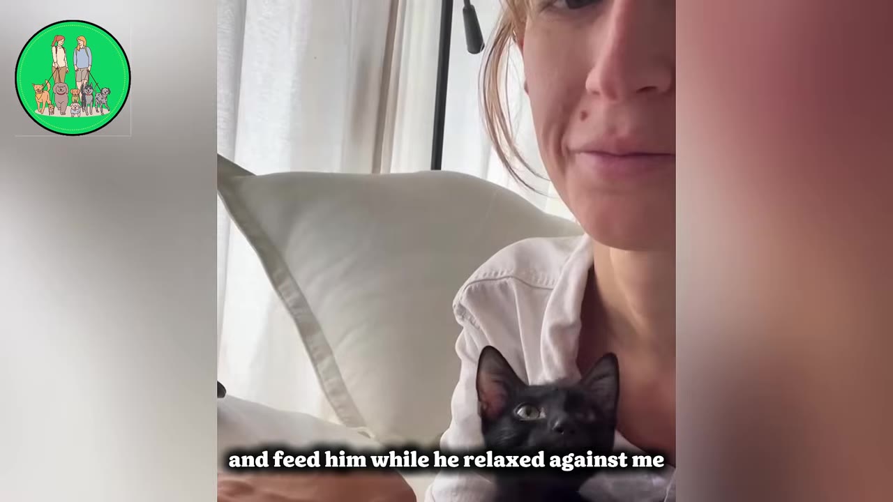 A small black kitten rests on the chest of a woman wearing a white shirt.