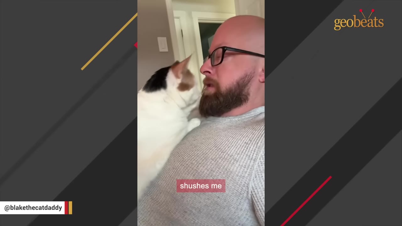 A calico cat presses its face close to a bearded man's mouth as if shushing him, with a subtitle reading 'shushes me'.