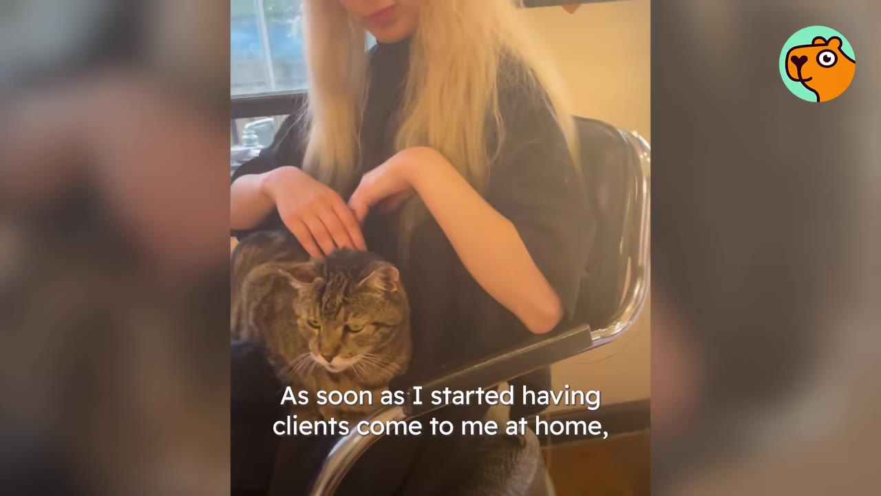 A tabby cat sits on the lap of a blonde client wearing a black cape in a salon chair.