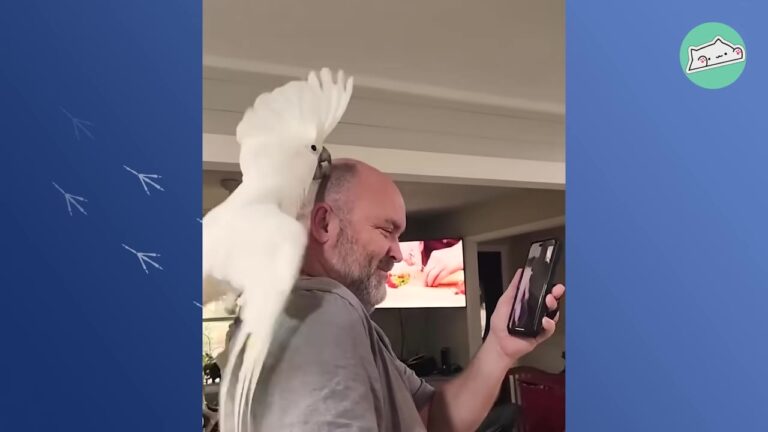 Georgia Woman Rescued A Neglected Parrot To Be Her Best Friend, But He Chose A Different Favorite