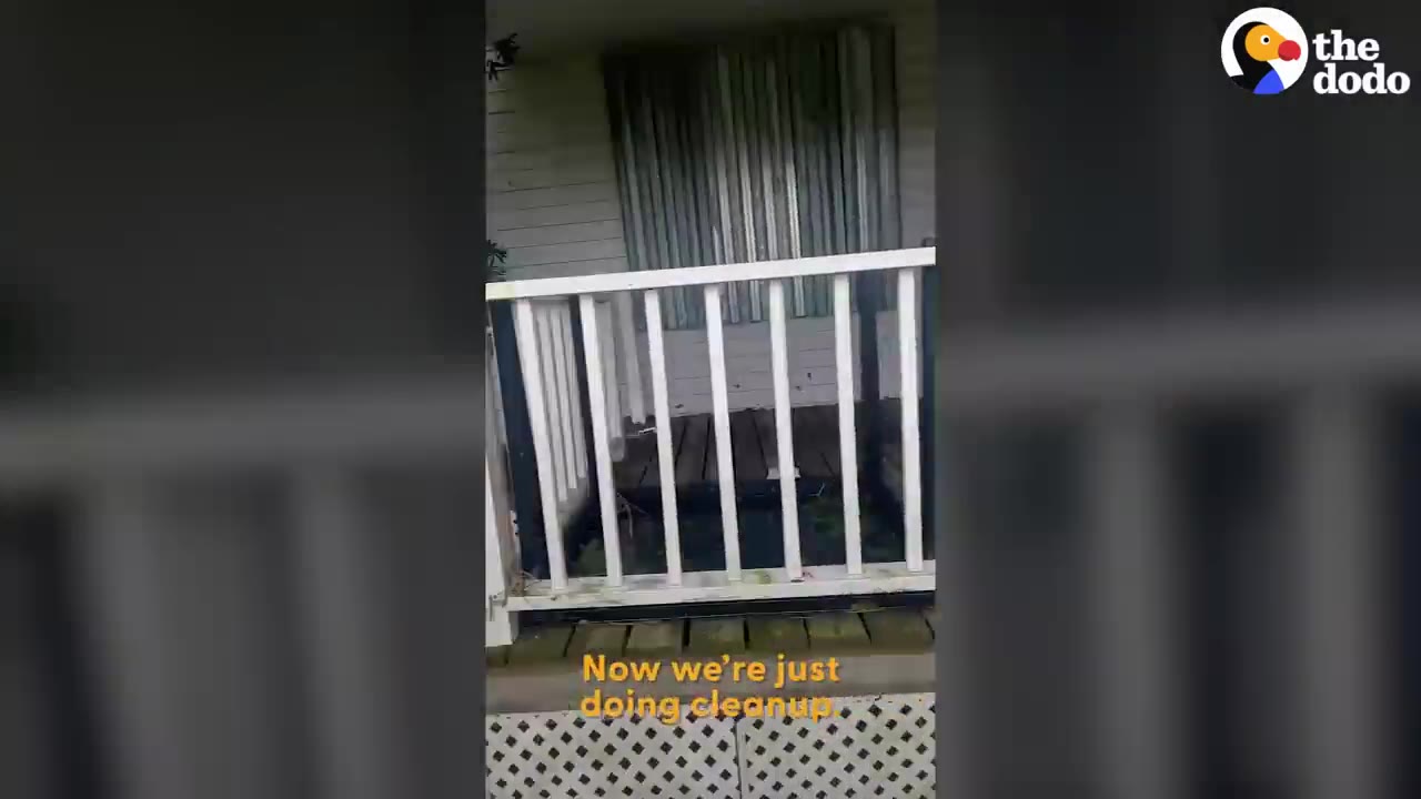 A white wooden porch railing in front of a house with closed storm shutters.