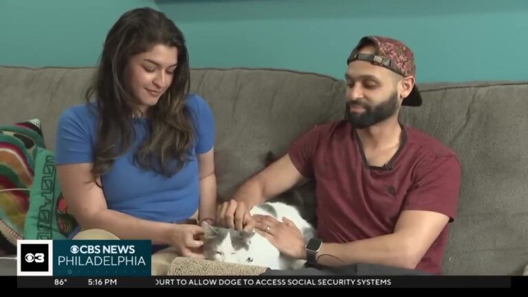 PA Family Refused To Give Up On Their Stolen Cat, Then A Late-Night Drop-Off Brought A Miracle