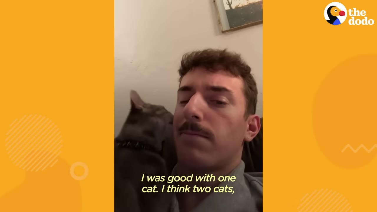 A man with a mustache looks directly at the camera with a skeptical expression while a grey cat sits behind his shoulder.