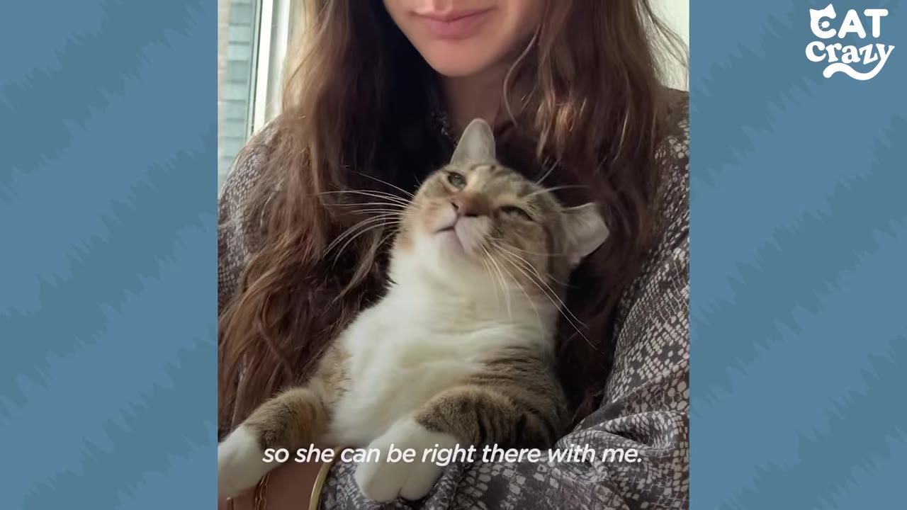 A brown and white tabby cat with a tipped ear cuddles in the arms of a woman, looking up affectionately at her.