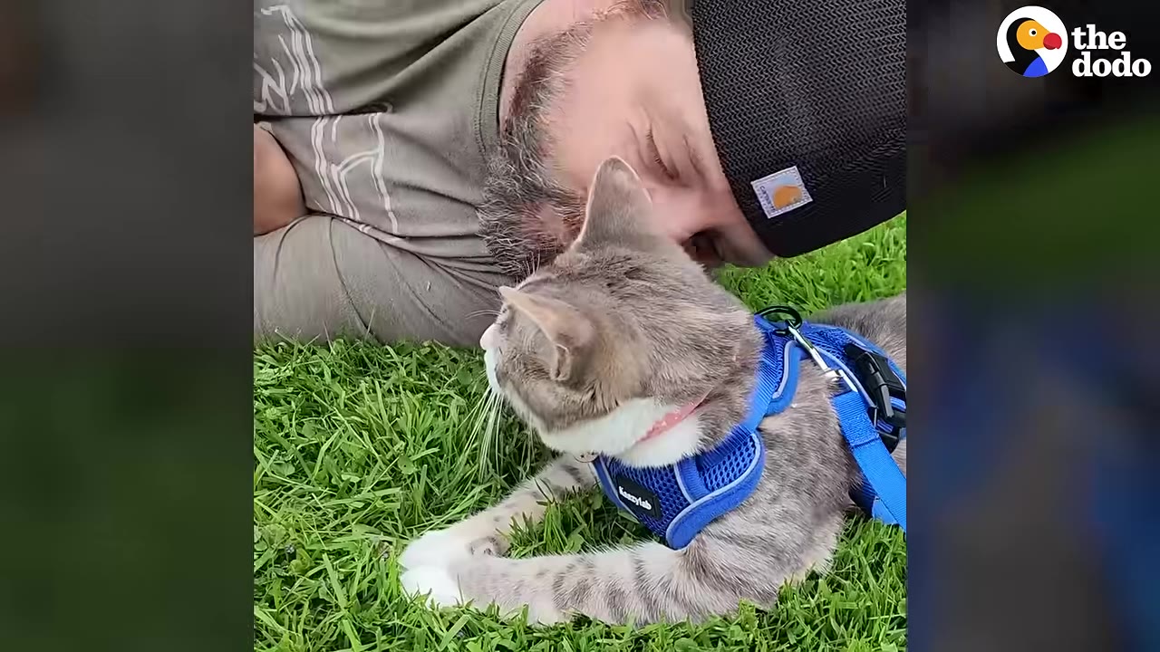 A man wearing a black beanie lies on green grass next to a grey and white cat wearing a blue harness.