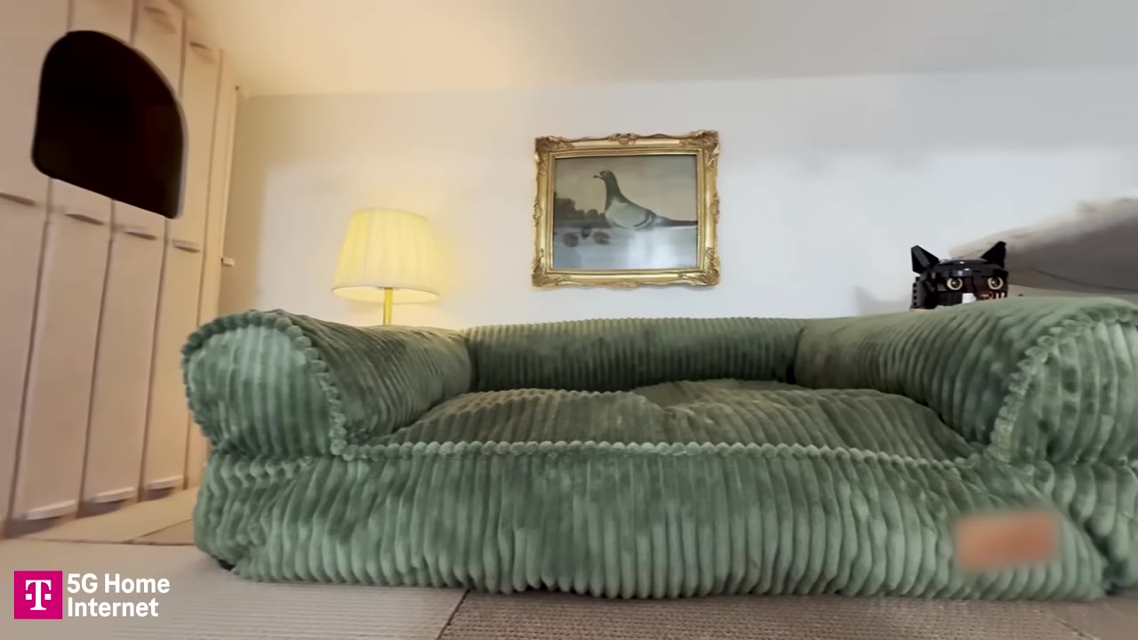 A miniature feline living room setup featuring a green corduroy cat sofa, a small lit lamp, and a framed painting of a pigeon hanging on the wall.