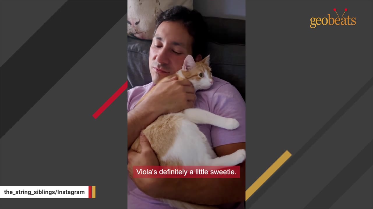 A man in a purple t-shirt holds a white and orange cat close to his chest as she rests her head near his shoulder.