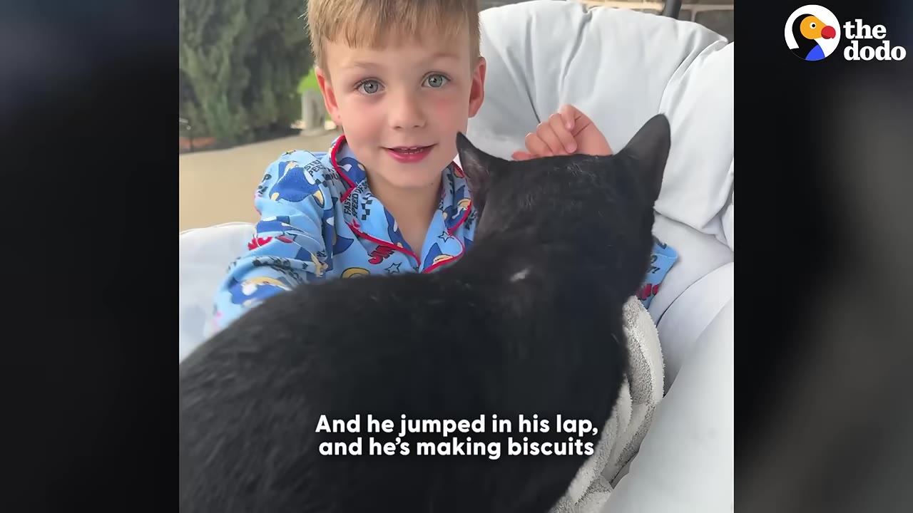 A young boy in blue pajamas smiles with wide eyes as a black cat sits on his lap.