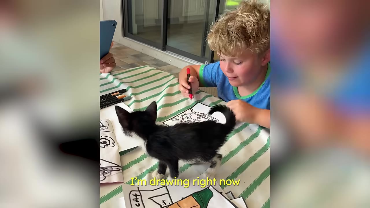 A young blonde boy sits at a table with green and white stripes, holding a red marker, while a tiny black and white kitten walks across his drawing papers.