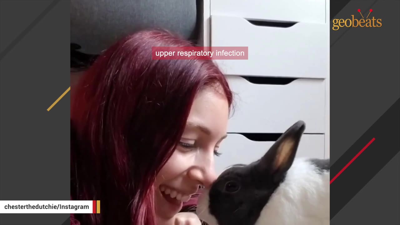 A close-up of a smiling woman with reddish-purple hair next to a black and white rabbit, with a text overlay that reads 'upper respiratory infection'.
