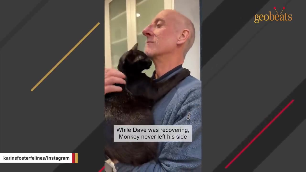 A man holding a black cat close to his chest as it nuzzles his chin.