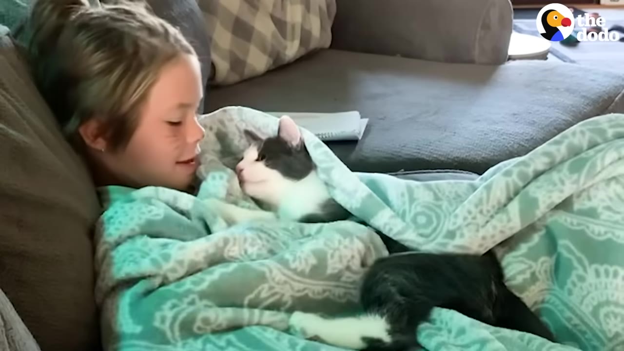 A grey and white cat cuddles under a teal patterned blanket on a couch with a young girl, looking up at her face.