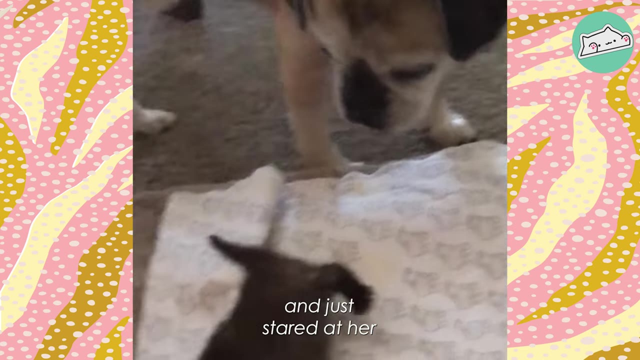 A pug-mix dog stands over a tiny dark kitten lying on a patterned blanket on the floor, looking down at her attentively.