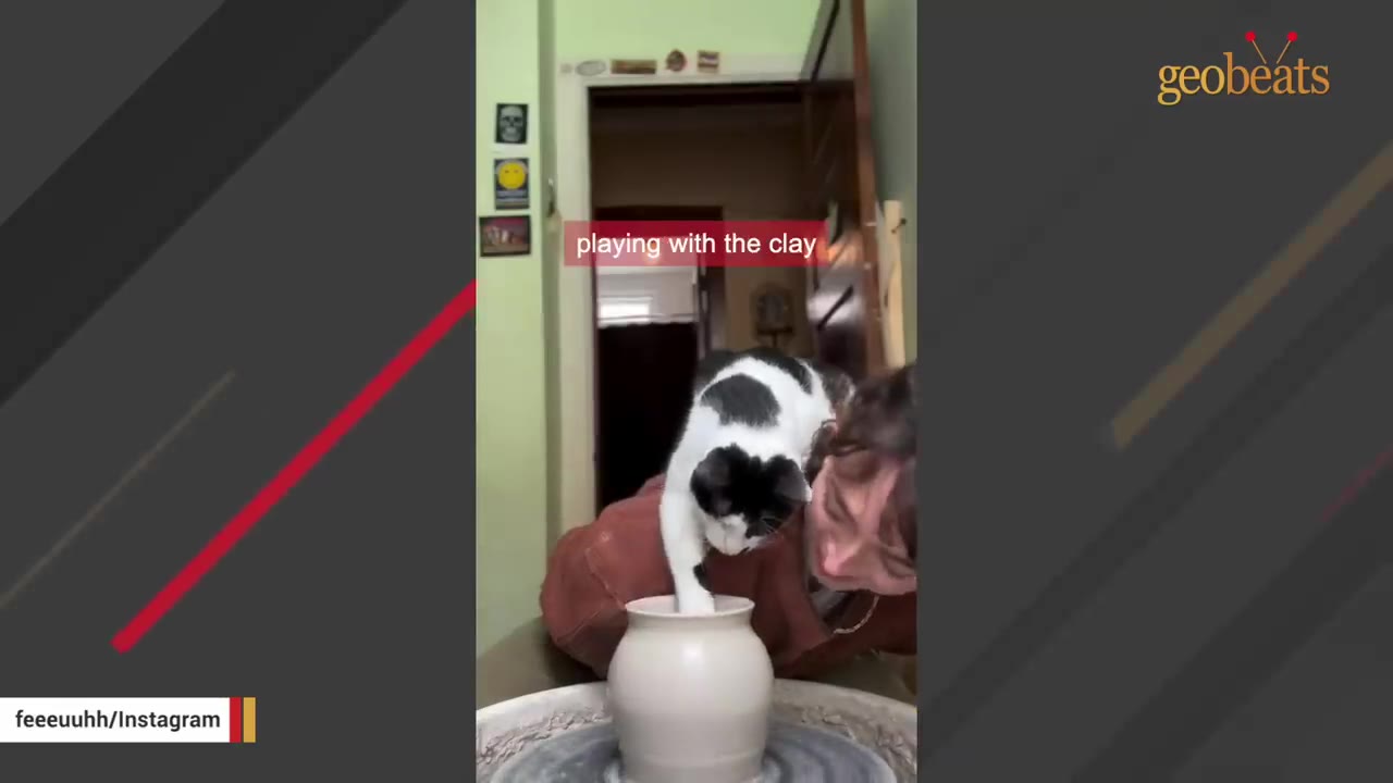 A black and white cat gently places its paw inside a spinning clay pot on a pottery wheel while a person watches closely.