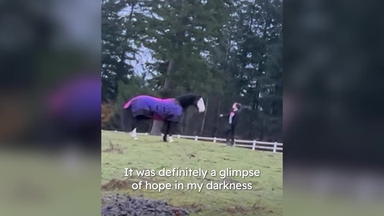 A horse wearing a purple blanket stands in a grassy field near a white fence, facing a person standing a short distance away with trees in the background.