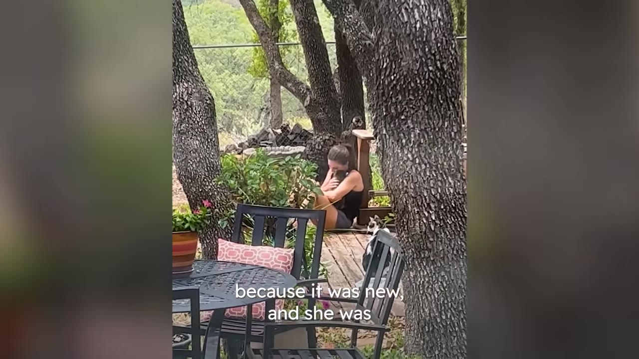 A woman sits on an outdoor wooden deck surrounded by trees, holding a small raccoon in her arms.