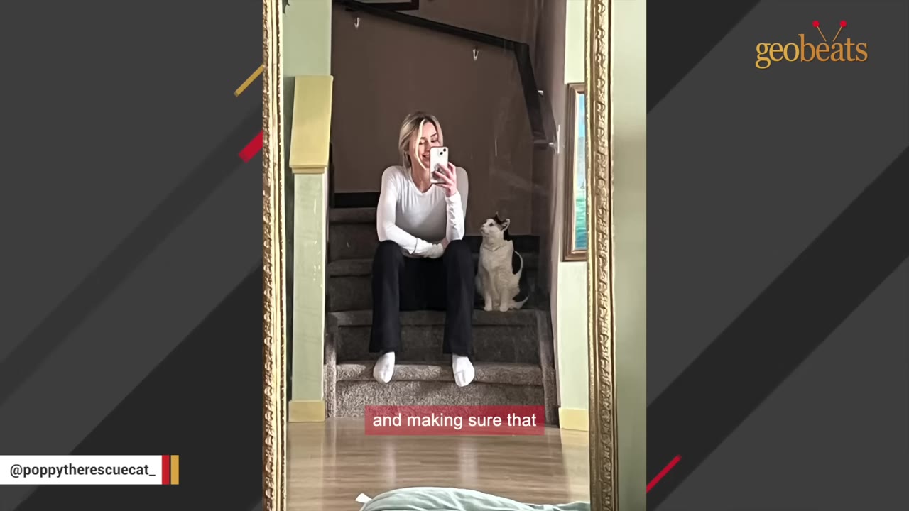 A blonde woman sits on carpeted stairs next to a black and white cat, taking a mirror selfie.